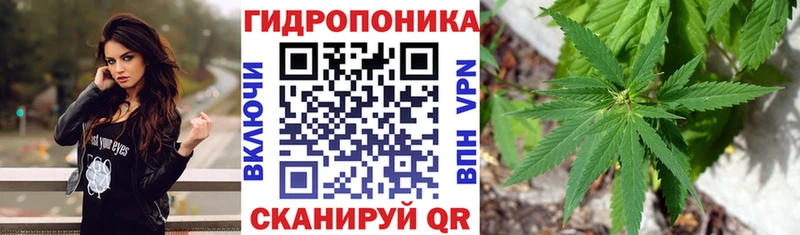 Бошки Шишки THC 21%  Кудрово 